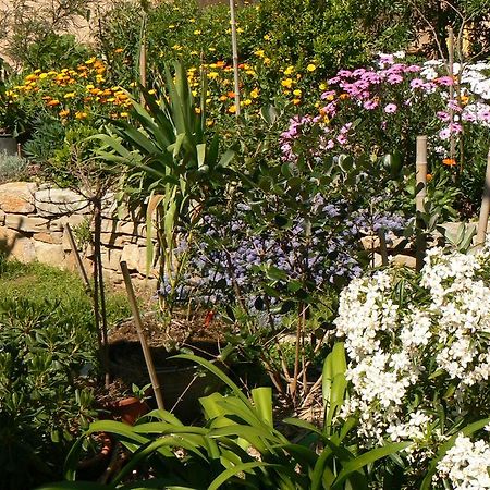 L' Escale Tranquille Bed & Breakfast Sete Exterior photo